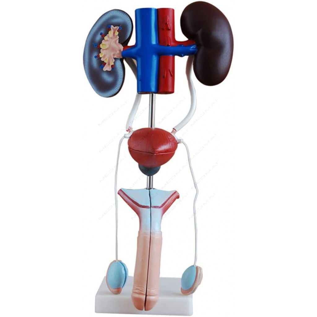 Medmag medmag